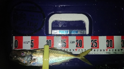 久々に満足、満足