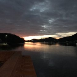 ファーストフィッシュ!