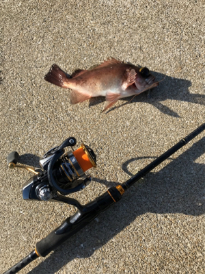 壱岐島釣行2日目