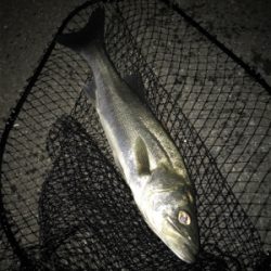 2日目（その2）プチ爆