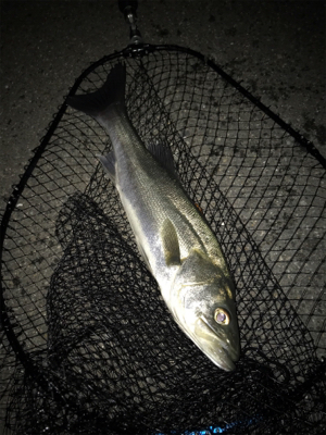 2日目（その2）プチ爆