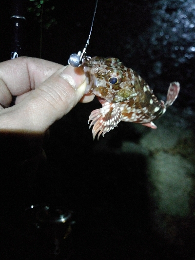 ライトゲームランガン