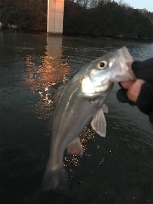 3日朝、引き続き好調のまま終了