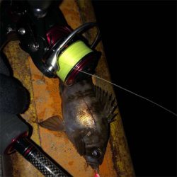 秋田火力ナイトメバリング