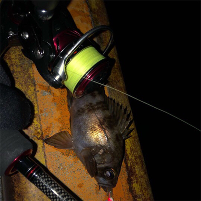 秋田火力ナイトメバリング