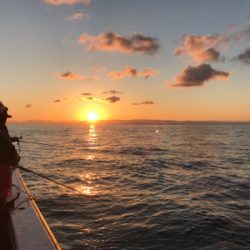 太刀魚  須磨沖