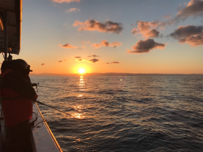 太刀魚  須磨沖