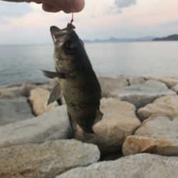 初釣りは穴釣り
