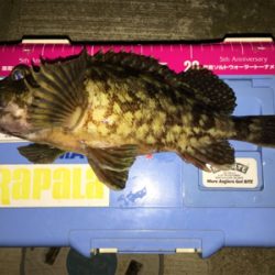 正月休みを利用して遠征