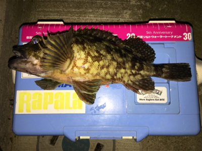 正月休みを利用して遠征