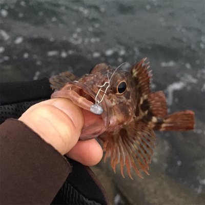 アジング&ライトショアジギング