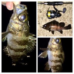 シーバサー0600〜0645