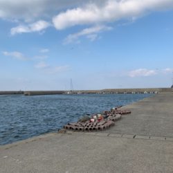 メバリング調査!のつもりでしたが…