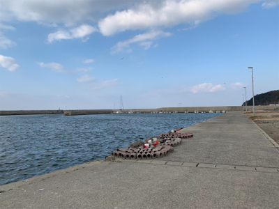 メバリング調査!のつもりでしたが…