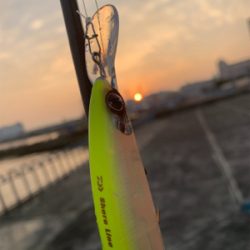 新年初フィーーーーッシュは!?