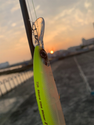 新年初フィーーーーッシュは!?