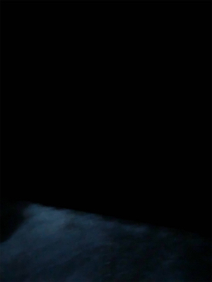 ナイトロックフィッシュ