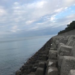 メバリングのはずが。。。。。。