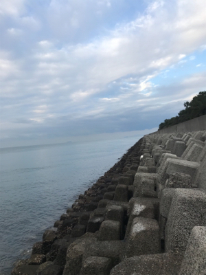 メバリングのはずが。。。。。。