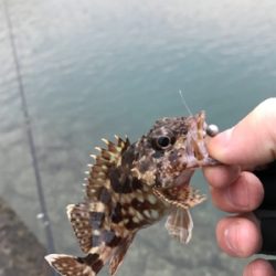 樋合新港ライトゲーム