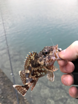 樋合新港ライトゲーム