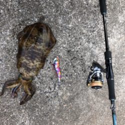 底物狙いのはずが、、、