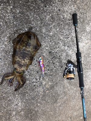 底物狙いのはずが、、、