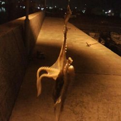 ヒイカ、まだ楽しめます!