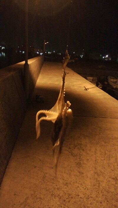 ヒイカ、まだ楽しめます!