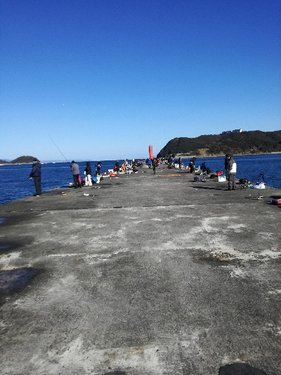 イワシは大量にいるが