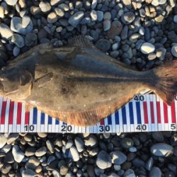 大遠征のサーフゲーム