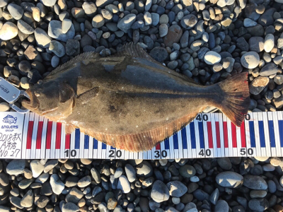 大遠征のサーフゲーム