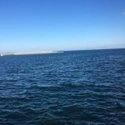 ターゲットには出会えず（苦笑）