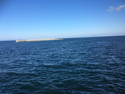 ターゲットには出会えず（苦笑）