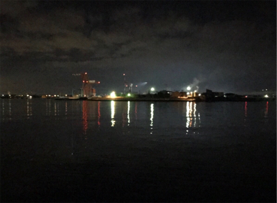 アジングで25cmのアジ