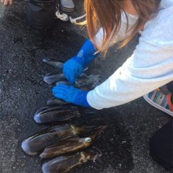 またまた。。。。