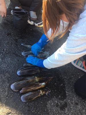 またまた。。。。