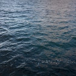 デイロックゲーム