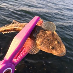 淀川ブリームゲーム 初釣り