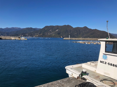 まったり堤防フカセ♪