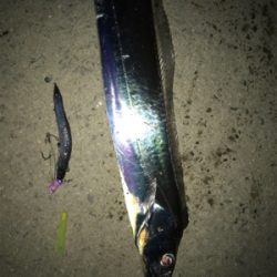 居ったら釣れます!