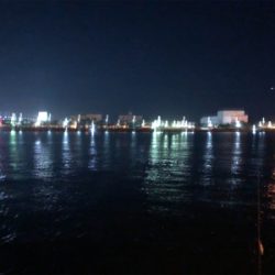 初釣り!初ヒイカ!