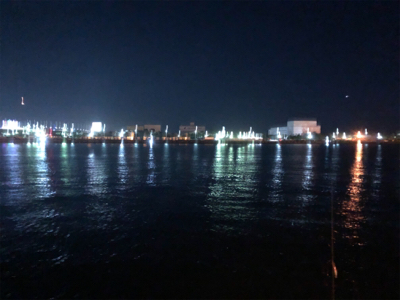 初釣り!初ヒイカ!