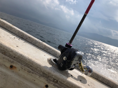 今年初タチウオ