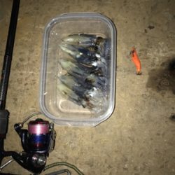 諦めかけていたヒイカ釣り…まだ釣れました＼(^^)／