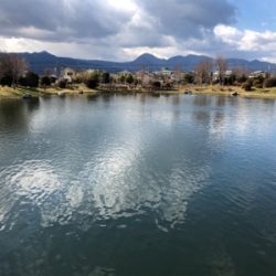 引きの良いトラウト