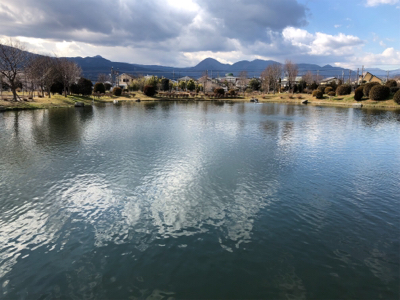 引きの良いトラウト