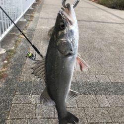 マルチヒットにロスト地獄