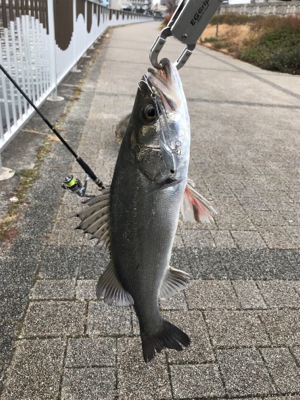 マルチヒットにロスト地獄