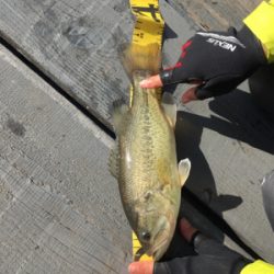 極寒のバスフィッシング